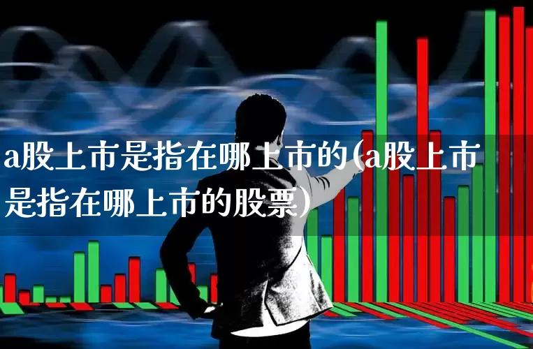 a股上市是指在哪上市的(a股上市是指在哪上市的股票)_https://www.xzdzcjn.com_深交所_第1张