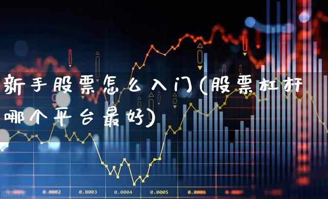新手股票怎么入门(股票杠杆哪个平台最好)_https://www.xzdzcjn.com_科创板_第1张