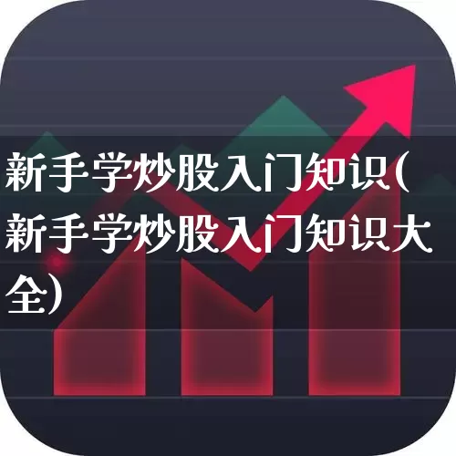 新手学炒股入门知识(新手学炒股入门知识大全)_https://www.xzdzcjn.com_上交所_第1张