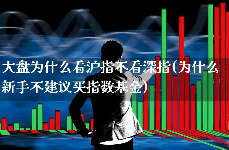 大盘为什么看沪指不看深指(为什么新手不建议买指数基金)_https://www.xzdzcjn.com_深交所_第1张