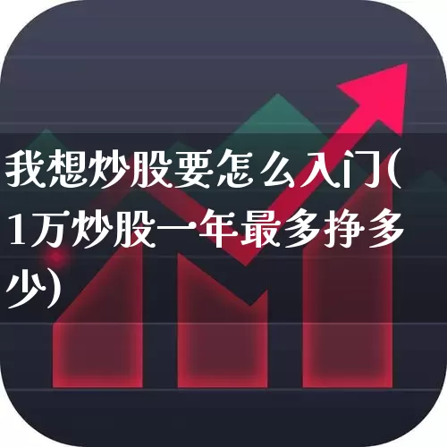我想炒股要怎么入门(1万炒股一年最多挣多少)_https://www.xzdzcjn.com_深交所_第1张