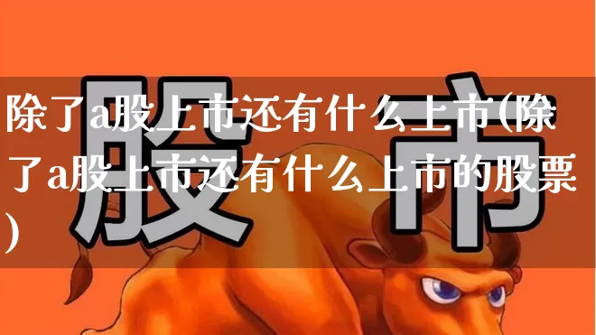 除了a股上市还有什么上市(除了a股上市还有什么上市的股票)_https://www.xzdzcjn.com_深交所_第1张