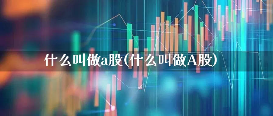 什么叫做a股(什么叫做A股)_https://www.xzdzcjn.com_上交所_第1张