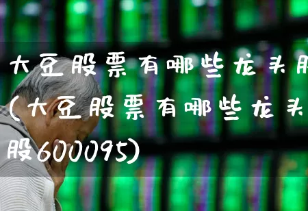 大豆股票有哪些龙头股(大豆股票有哪些龙头股600095)_https://www.xzdzcjn.com_上交所_第1张