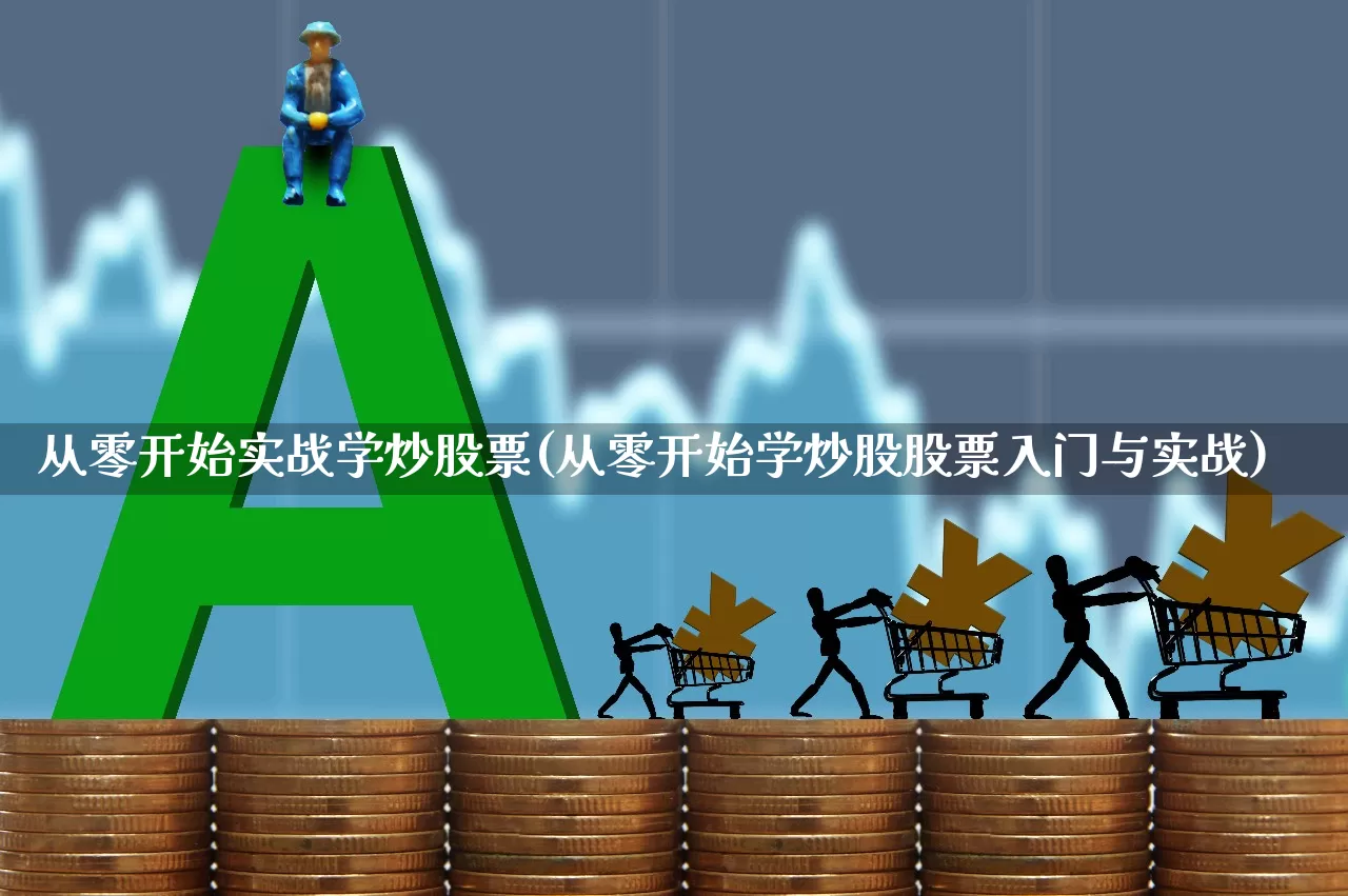 从零开始实战学炒股票(从零开始学炒股股票入门与实战)_https://www.xzdzcjn.com_创业板_第1张
