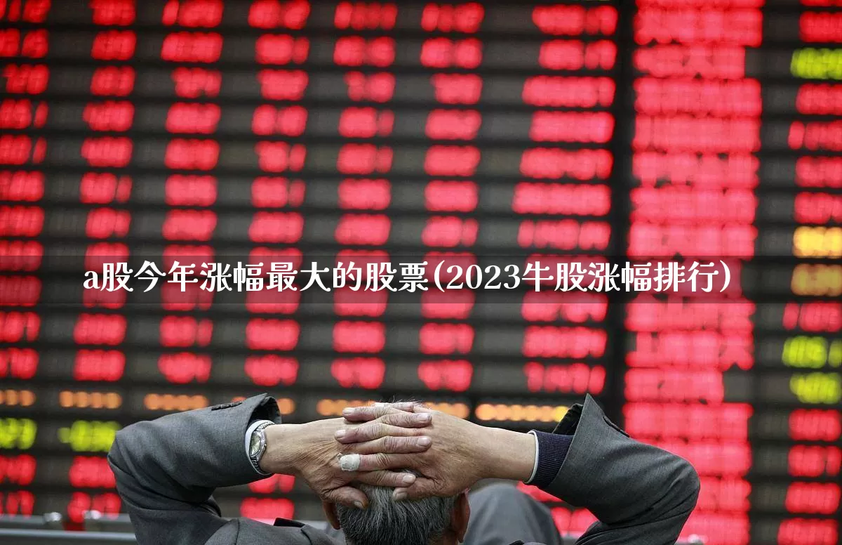 a股今年涨幅最大的股票(2023牛股涨幅排行)_https://www.xzdzcjn.com_科创板_第1张