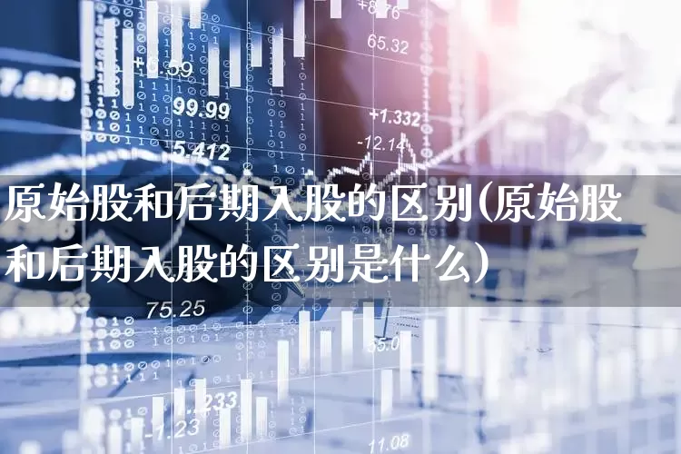 原始股和后期入股的区别(原始股和后期入股的区别是什么)_https://www.xzdzcjn.com_北交所_第1张