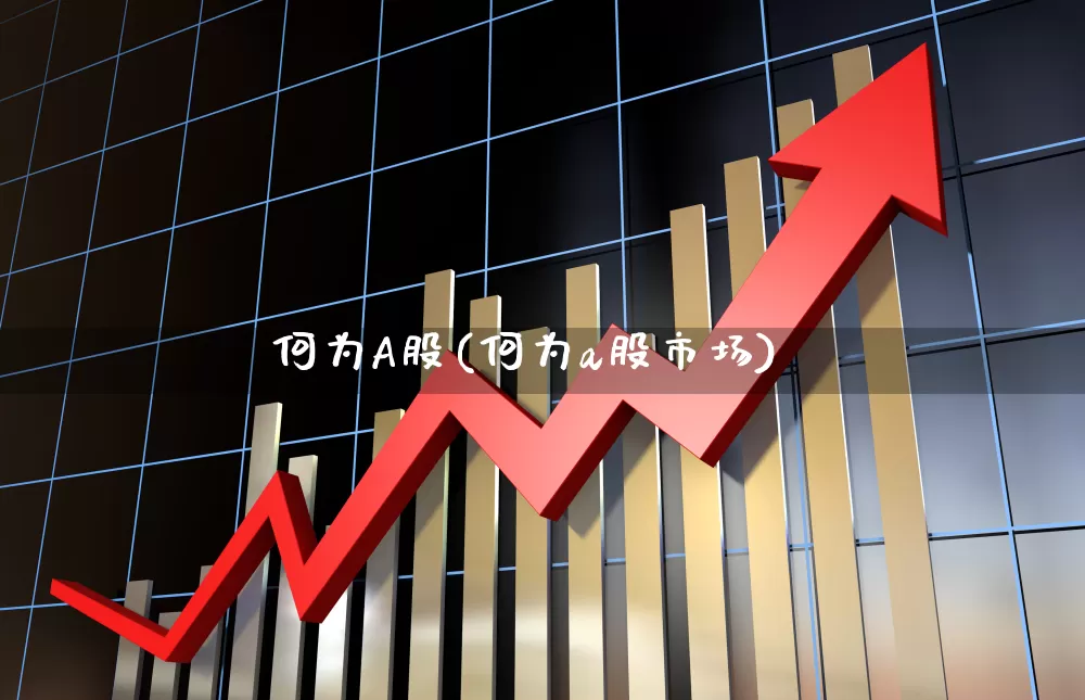何为A股(何为a股市场)_https://www.xzdzcjn.com_上交所_第1张