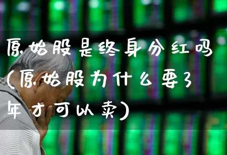 原始股是终身分红吗(原始股为什么要3年才可以卖)_https://www.xzdzcjn.com_创业板_第1张
