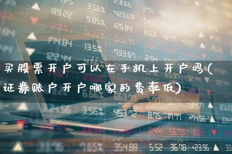 买股票开户可以在手机上开户吗(证券账户开户哪家的费率低)_https://www.xzdzcjn.com_上交所_第1张