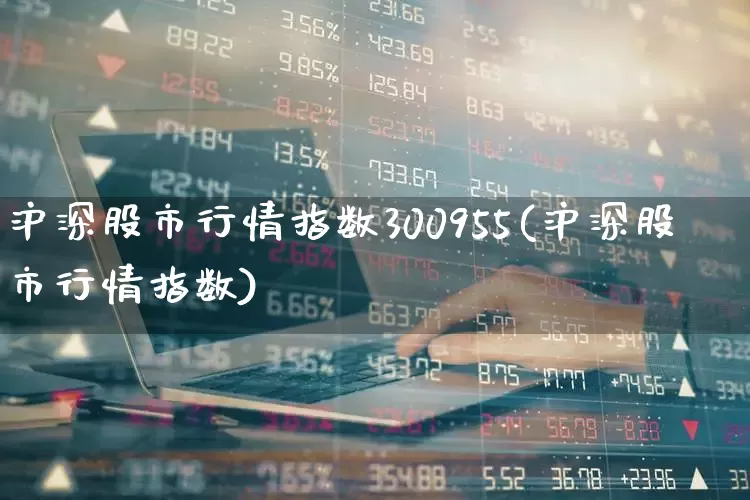 沪深股市行情指数300955(沪深股市行情指数)_https://www.xzdzcjn.com_深交所_第1张
