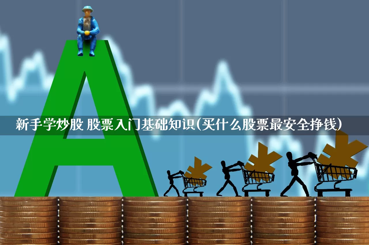 新手学炒股 股票入门基础知识(买什么股票最安全挣钱)_https://www.xzdzcjn.com_深交所_第1张