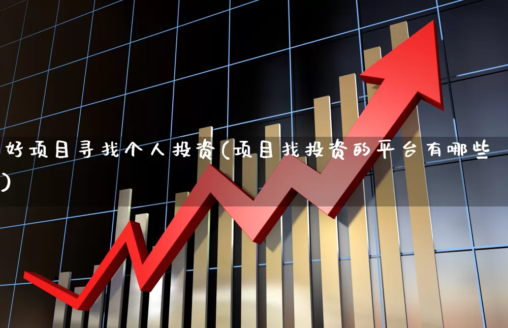 好项目寻找个人投资(项目找投资的平台有哪些)_https://www.xzdzcjn.com_北交所_第1张