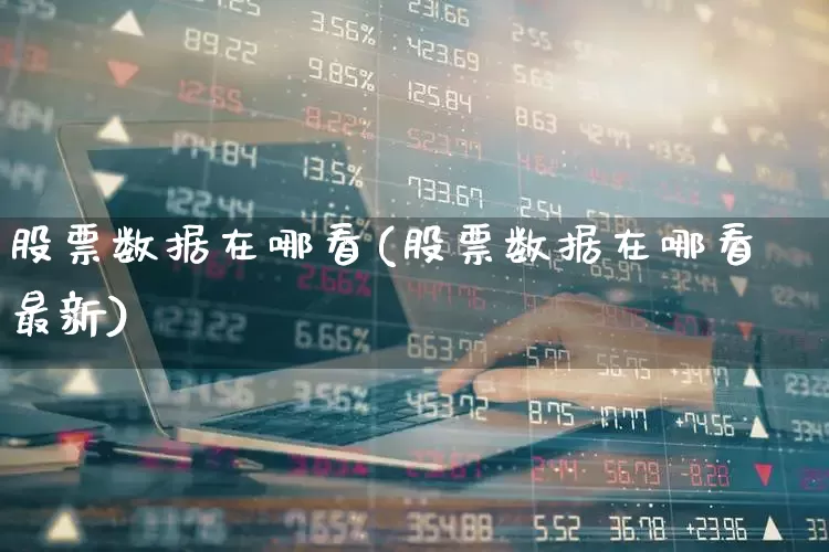 股票数据在哪看(股票数据在哪看最新)_https://www.xzdzcjn.com_创业板_第1张
