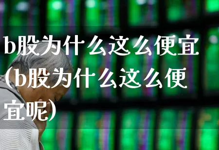 b股为什么这么便宜(b股为什么这么便宜呢)_https://www.xzdzcjn.com_科创板_第1张