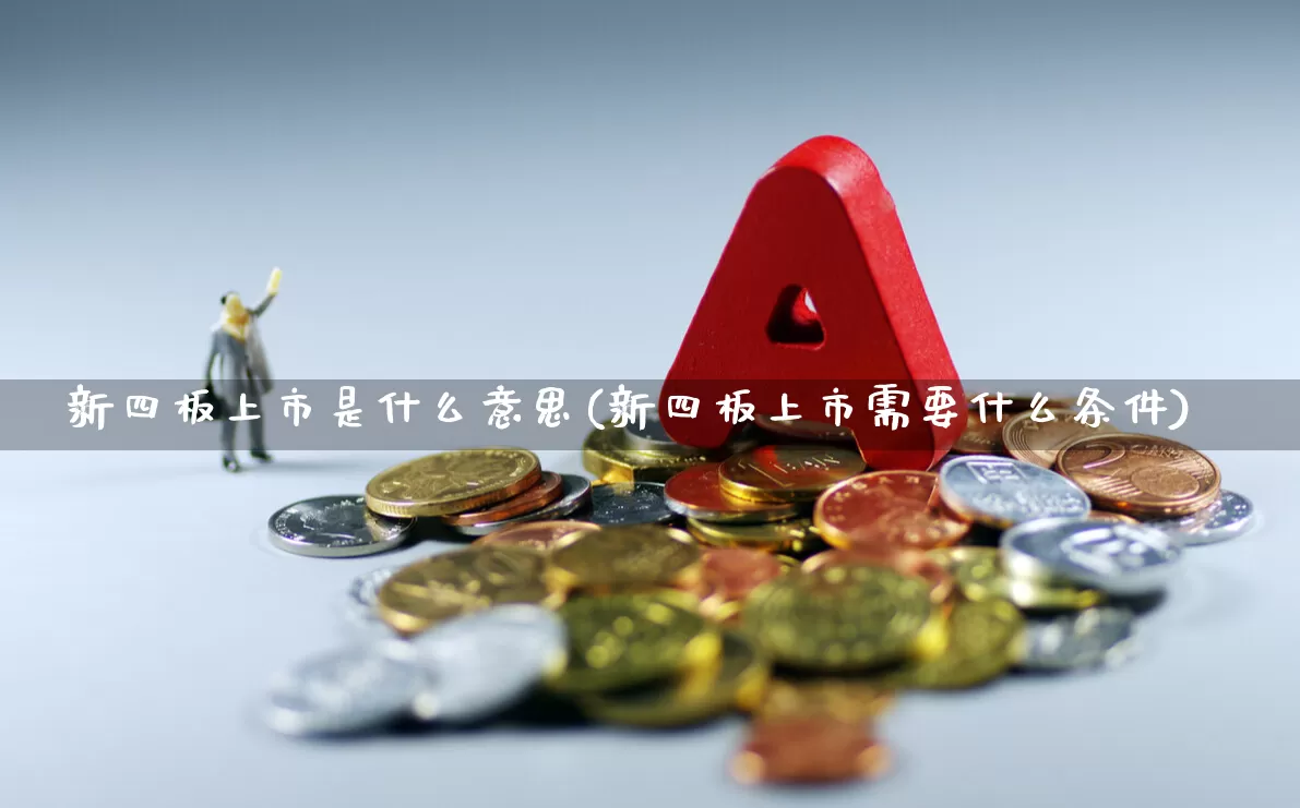 新四板上市是什么意思(新四板上市需要什么条件)_https://www.xzdzcjn.com_上交所_第1张