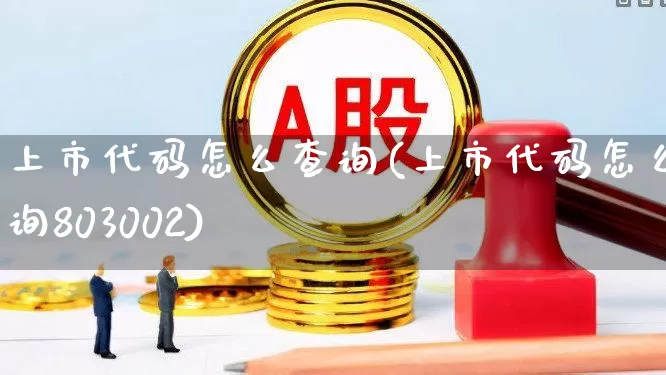 上市代码怎么查询(上市代码怎么查询803002)_https://www.xzdzcjn.com_科创板_第1张