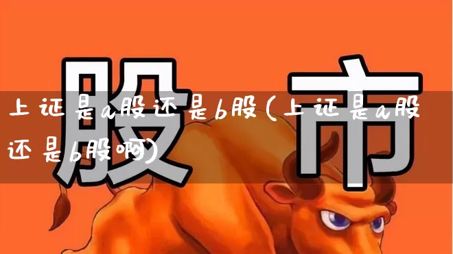 上证是a股还是b股(上证是a股还是b股啊)_https://www.xzdzcjn.com_上交所_第1张