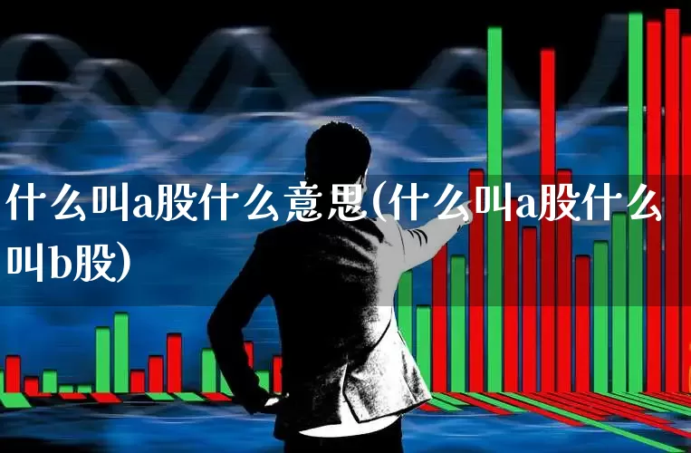 什么叫a股什么意思(什么叫a股什么叫b股)_https://www.xzdzcjn.com_北交所_第1张