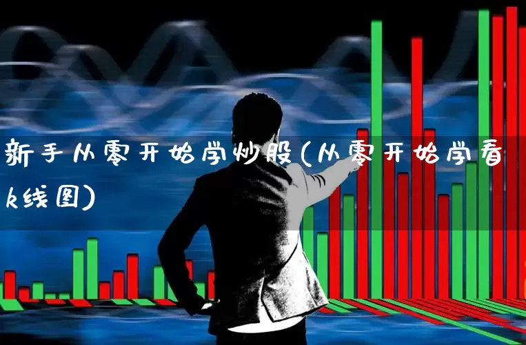 新手从零开始学炒股(从零开始学看k线图)_https://www.xzdzcjn.com_创业板_第1张
