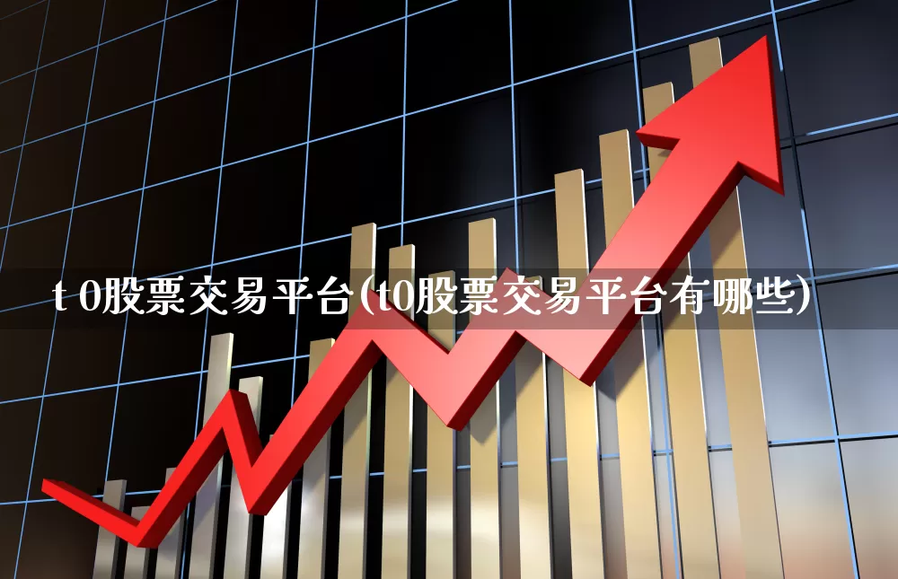 t 0股票交易平台(t0股票交易平台有哪些)_https://www.xzdzcjn.com_科创板_第1张