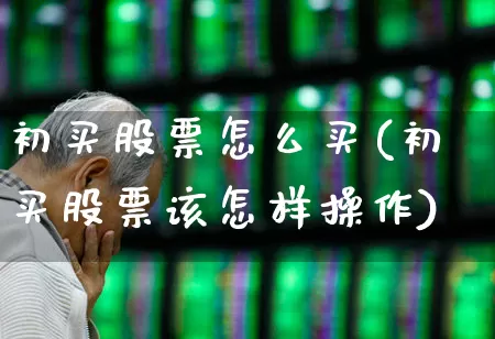 初买股票怎么买(初买股票该怎样操作)_https://www.xzdzcjn.com_北交所_第1张