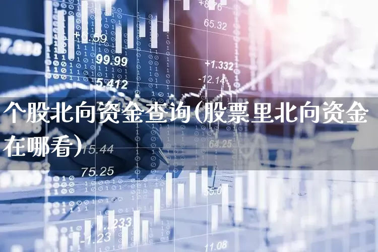 个股北向资金查询(股票里北向资金在哪看)_https://www.xzdzcjn.com_科创板_第1张