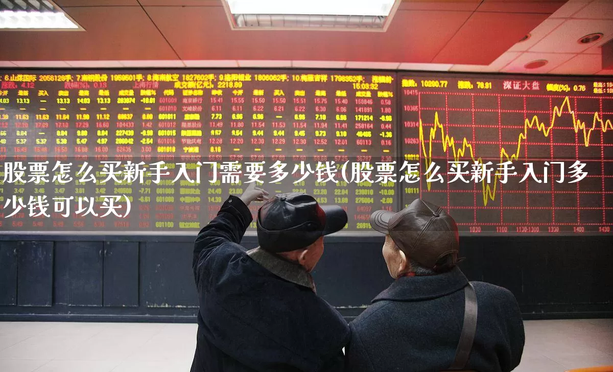 股票怎么买新手入门需要多少钱(股票怎么买新手入门多少钱可以买)_https://www.xzdzcjn.com_深交所_第1张