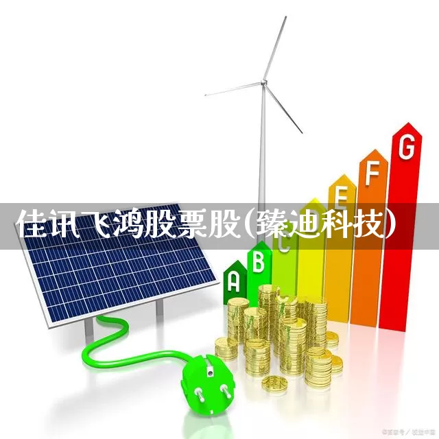 佳讯飞鸿股票股(臻迪科技)_https://www.xzdzcjn.com_深交所_第1张