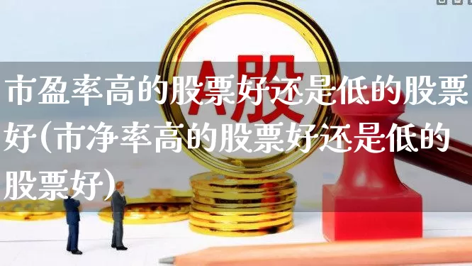 市盈率高的股票好还是低的股票好(市净率高的股票好还是低的股票好)_https://www.xzdzcjn.com_创业板_第1张