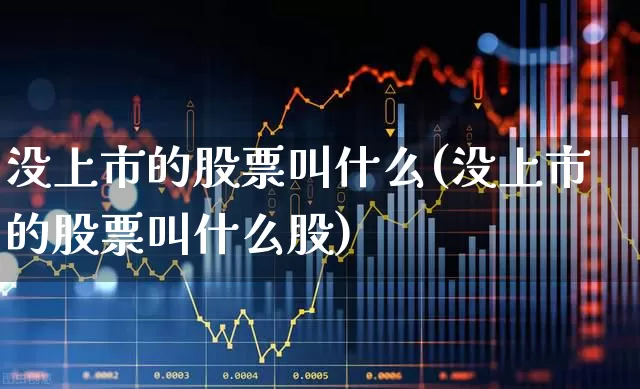 没上市的股票叫什么(没上市的股票叫什么股)_https://www.xzdzcjn.com_上交所_第1张