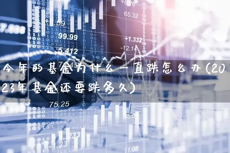 今年的基金为什么一直跌怎么办(2023年基金还要跌多久)_https://www.xzdzcjn.com_深交所_第1张