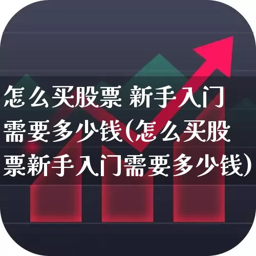 怎么买股票 新手入门需要多少钱(怎么买股票新手入门需要多少钱)_https://www.xzdzcjn.com_北交所_第1张