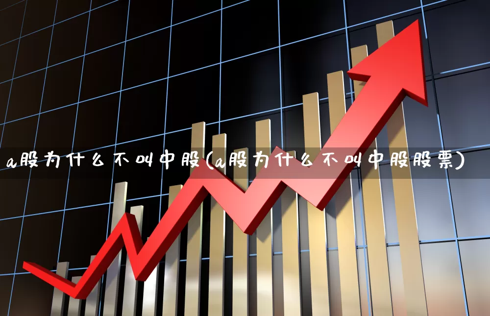 a股为什么不叫中股(a股为什么不叫中股股票)_https://www.xzdzcjn.com_创业板_第1张