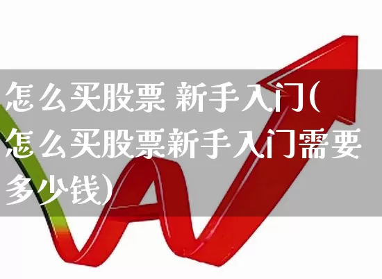 怎么买股票 新手入门(怎么买股票新手入门需要多少钱)_https://www.xzdzcjn.com_北交所_第1张