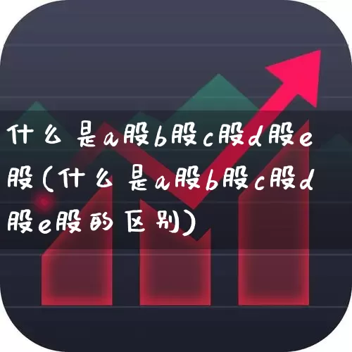 什么是a股b股c股d股e股(什么是a股b股c股d股e股的区别)_https://www.xzdzcjn.com_科创板_第1张
