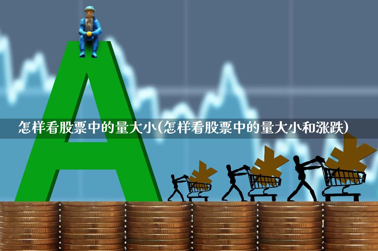 怎样看股票中的量大小(怎样看股票中的量大小和涨跌)_https://www.xzdzcjn.com_北交所_第1张
