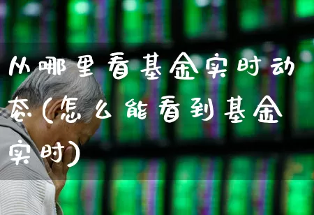 从哪里看基金实时动态(怎么能看到基金实时)_https://www.xzdzcjn.com_上交所_第1张