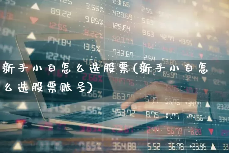 新手小白怎么选股票(新手小白怎么选股票账号)_https://www.xzdzcjn.com_北交所_第1张
