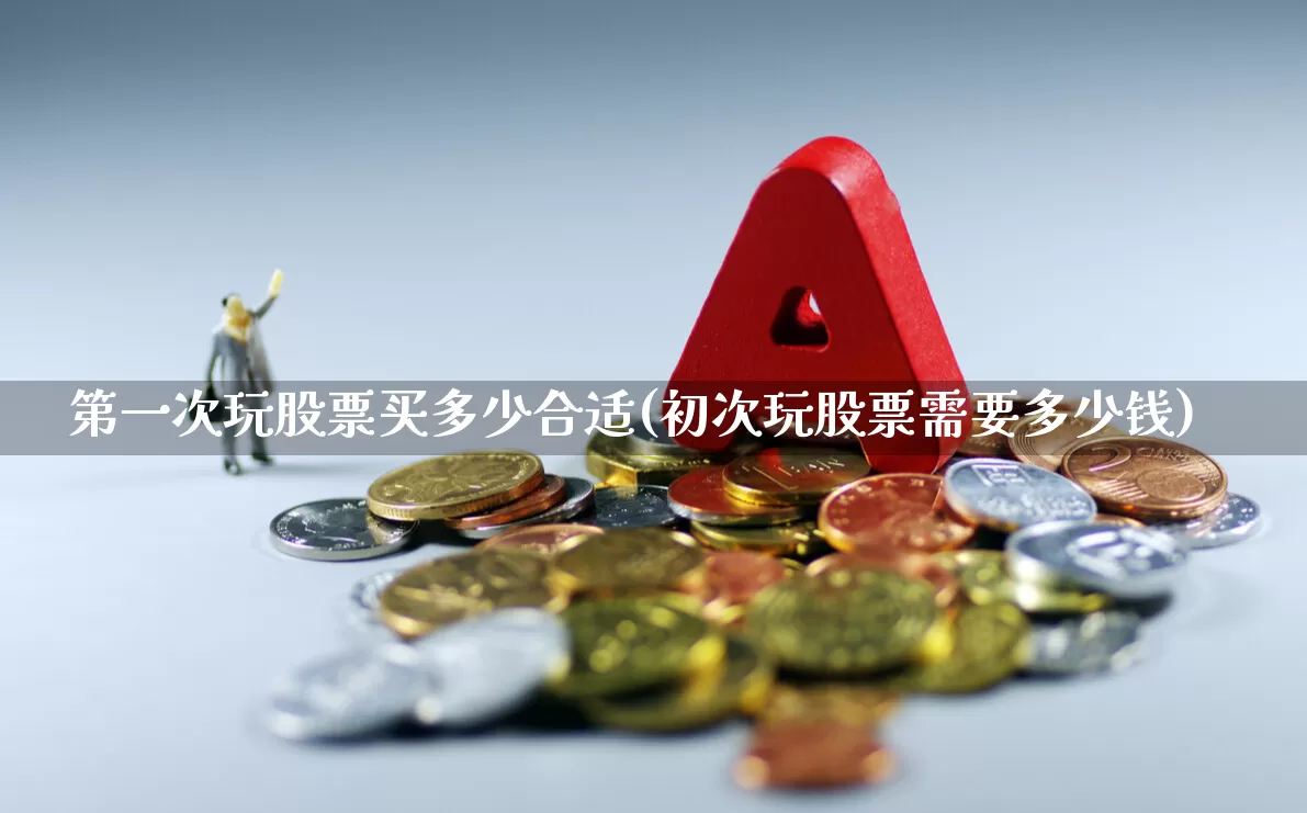 第一次玩股票买多少合适(初次玩股票需要多少钱)_https://www.xzdzcjn.com_科创板_第1张