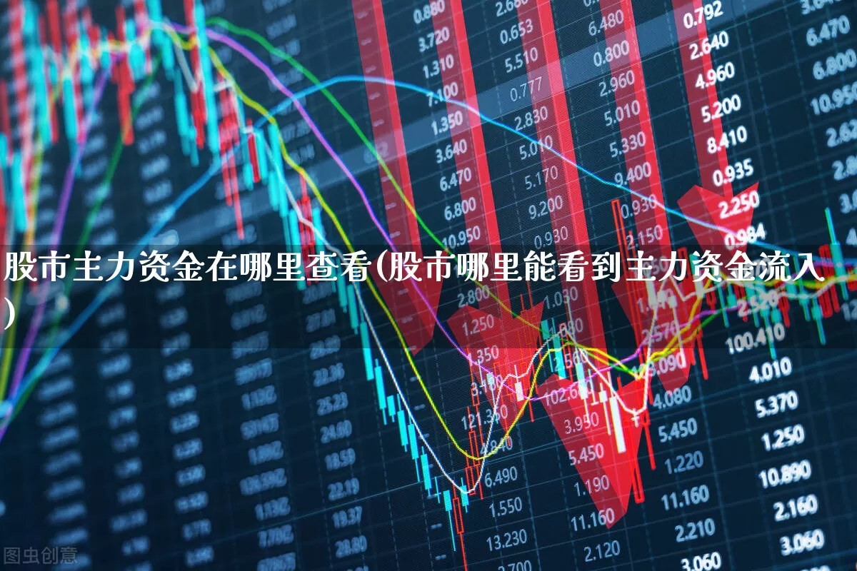 股市主力资金在哪里查看(股市哪里能看到主力资金流入)_https://www.xzdzcjn.com_上交所_第1张