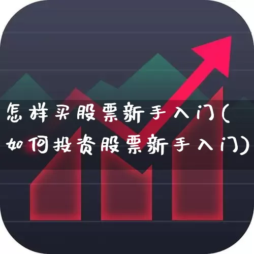 怎样买股票新手入门(如何投资股票新手入门)_https://www.xzdzcjn.com_北交所_第1张