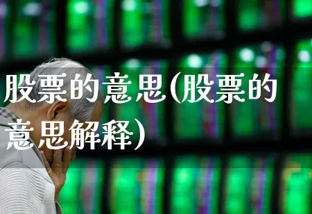 股票的意思(股票的意思解释)_https://www.xzdzcjn.com_上交所_第1张