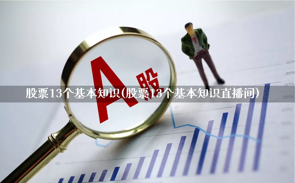 股票13个基本知识(股票13个基本知识直播间)_https://www.xzdzcjn.com_科创板_第1张