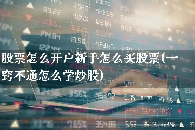 股票怎么开户新手怎么买股票(一窍不通怎么学炒股)_https://www.xzdzcjn.com_创业板_第1张