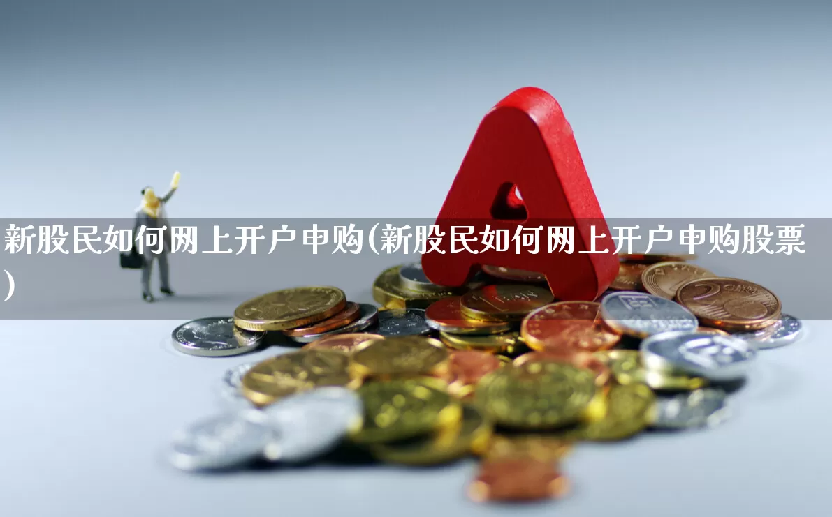 新股民如何网上开户申购(新股民如何网上开户申购股票)_https://www.xzdzcjn.com_深交所_第1张
