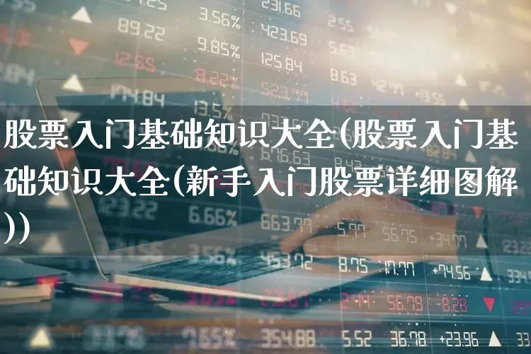 股票入门基础知识大全(股票入门基础知识大全(新手入门股票详细图解))_https://www.xzdzcjn.com_北交所_第1张