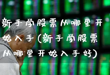 新手学股票从哪里开始入手(新手学股票从哪里开始入手好)_https://www.xzdzcjn.com_北交所_第1张