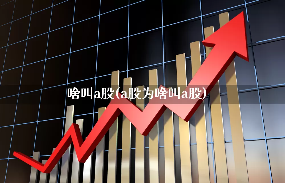啥叫a股(a股为啥叫a股)_https://www.xzdzcjn.com_北交所_第1张