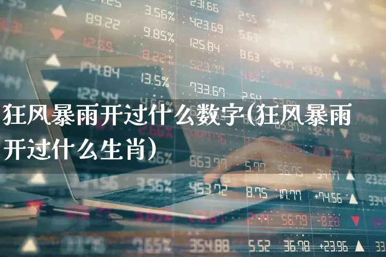 狂风暴雨开过什么数字(狂风暴雨开过什么生肖)_https://www.xzdzcjn.com_深交所_第1张